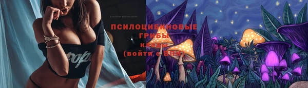 a pvp Богданович