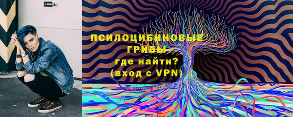 a pvp Богданович