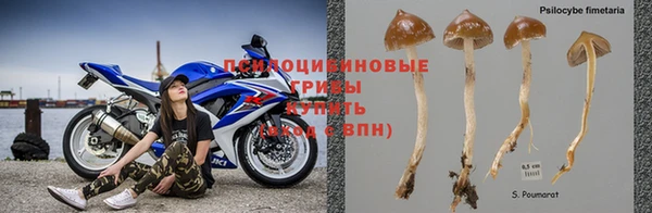дживик Богородск
