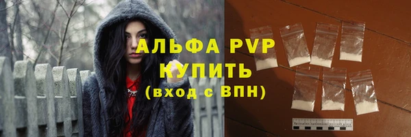 дживик Богородск