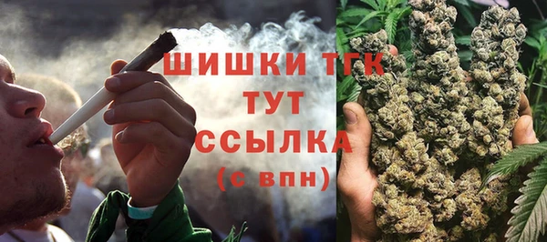 дживик Богородск