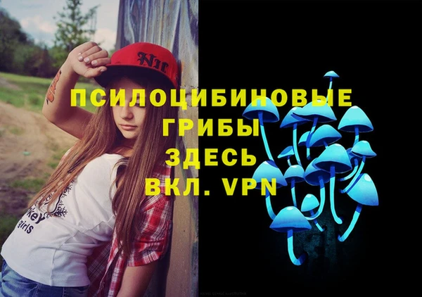 дживик Богородск