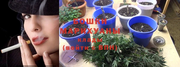 дживик Богородск